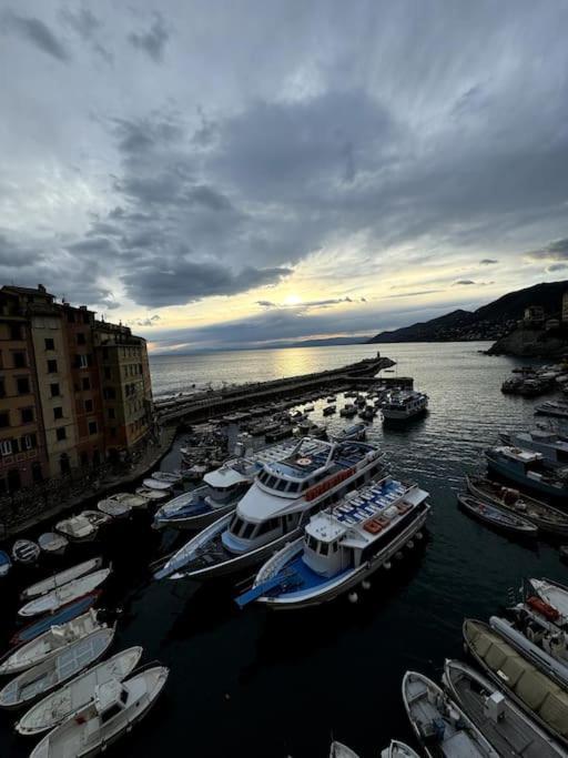 Appartement Attico Sul Porticciolo Antico Di Camogli Extérieur photo
