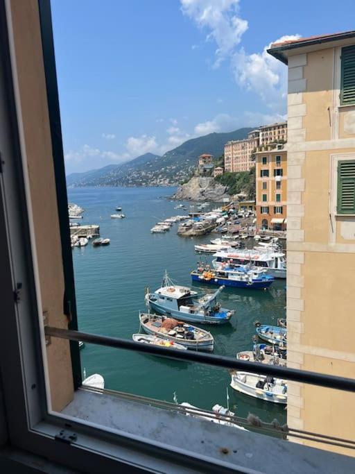 Appartement Attico Sul Porticciolo Antico Di Camogli Extérieur photo